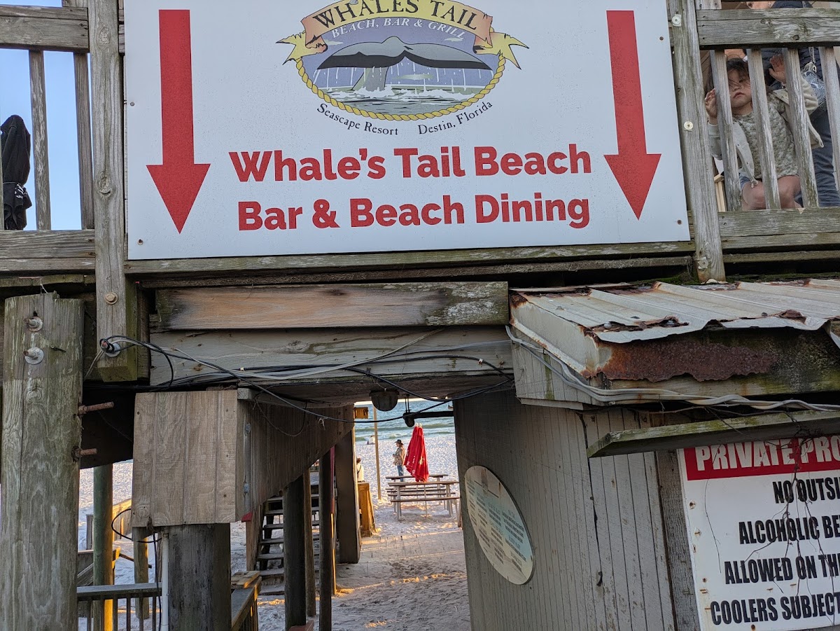 The Whale's Tail Beach Bar & Grill